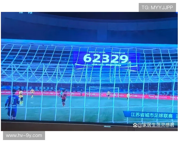 中国哪些省级足球联赛已经停办或取消的原因分析及未来趋势探讨